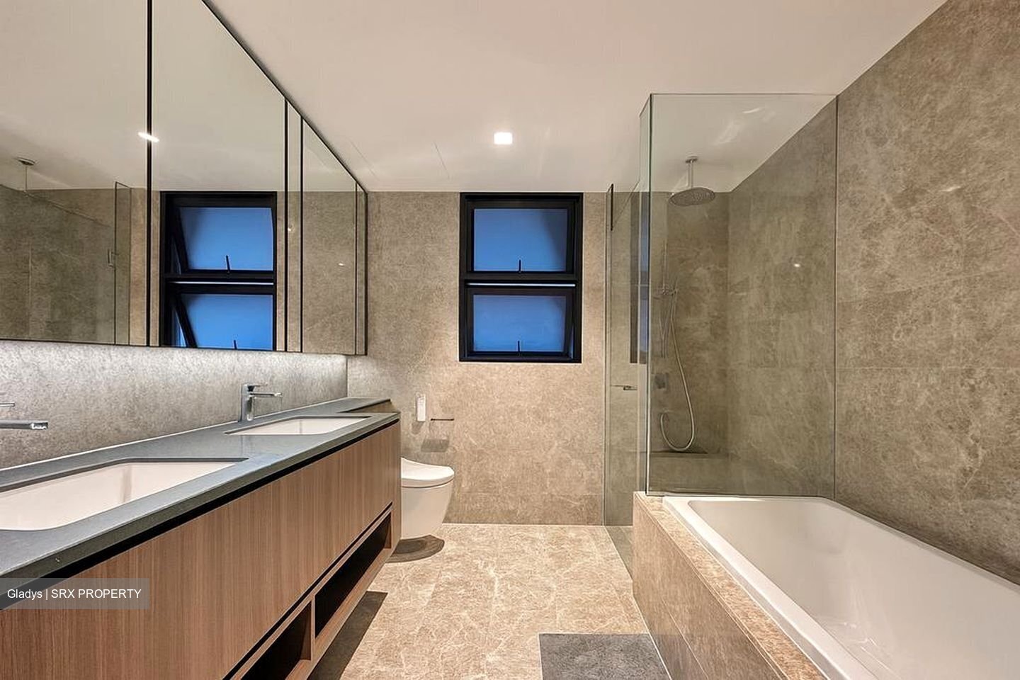 Kopar At Newton (D9), Apartment #502150581